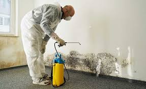 Best Mold Remediation for Healthcare Facilities  in USA